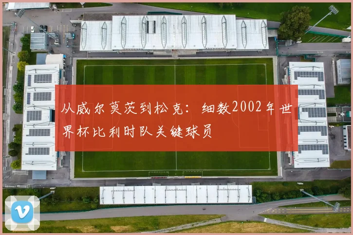 从威尔莫茨到松克：细数2002年世界杯比利时队关键球员