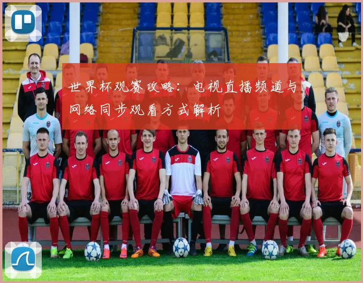世界杯观赛攻略：电视直播频道与网络同步观看方式解析