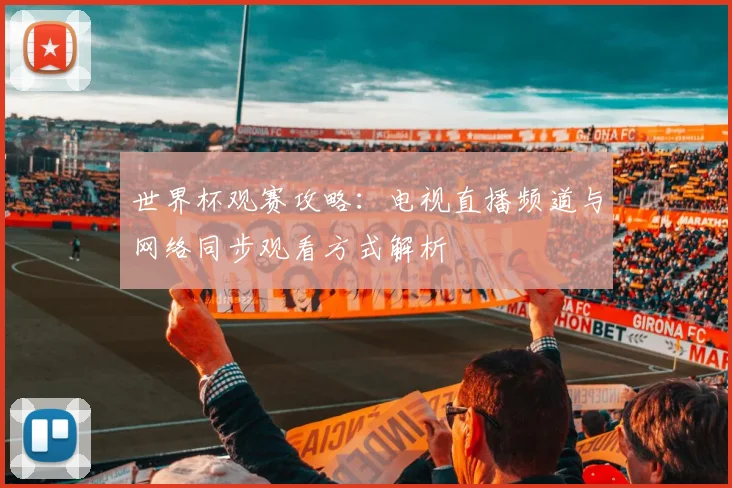 世界杯观赛攻略：电视直播频道与网络同步观看方式解析