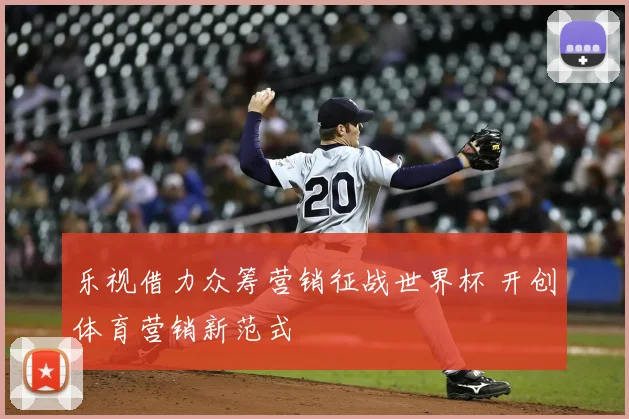 乐视借力众筹营销征战世界杯 开创体育营销新范式