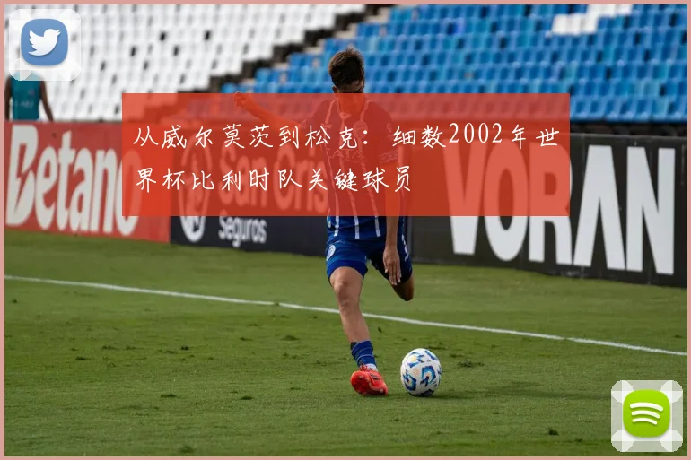 从威尔莫茨到松克：细数2002年世界杯比利时队关键球员