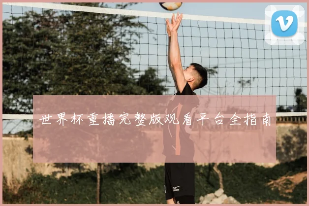 世界杯重播完整版观看平台全指南